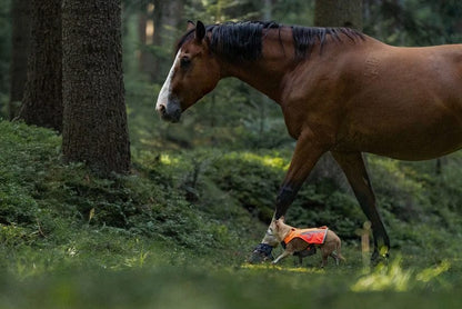 Non-Stop – Protector Vest 2.0