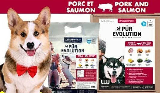 PÜR EVOLUTION – Formule Chien – Porc et Saumon