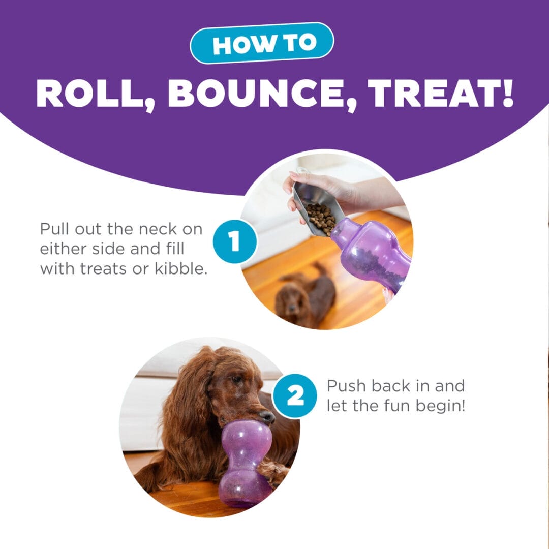 Outward Hound – Double Snoop