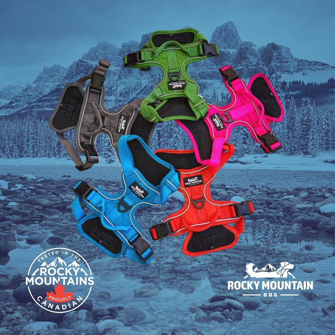 Rocky Mountain Dog – Harnais tout-terrain – Kootenay