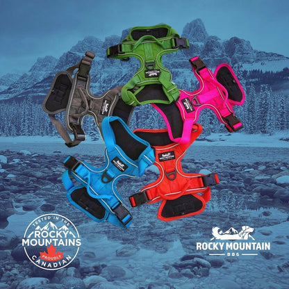 Rocky Mountain Dog – Harnais tout-terrain – Kootenay