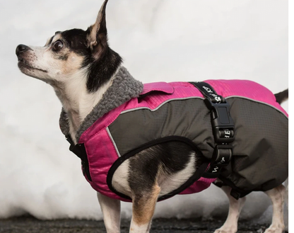 Shedrow K9 – Manteau d'hiver Chinook