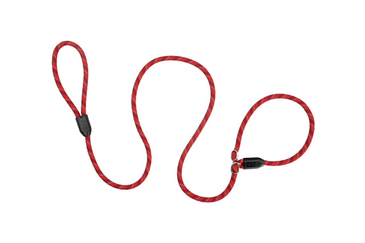Rcpets – Laisse lasso en corde