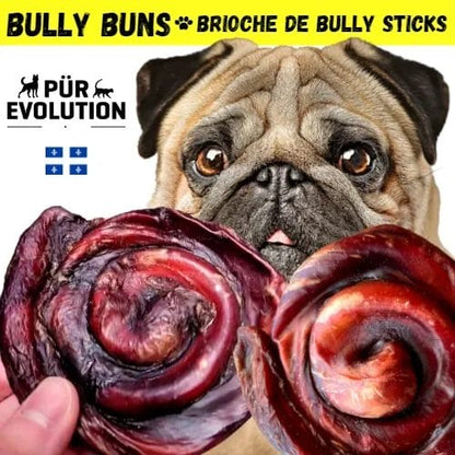 Pur Evolution – Bully Bun