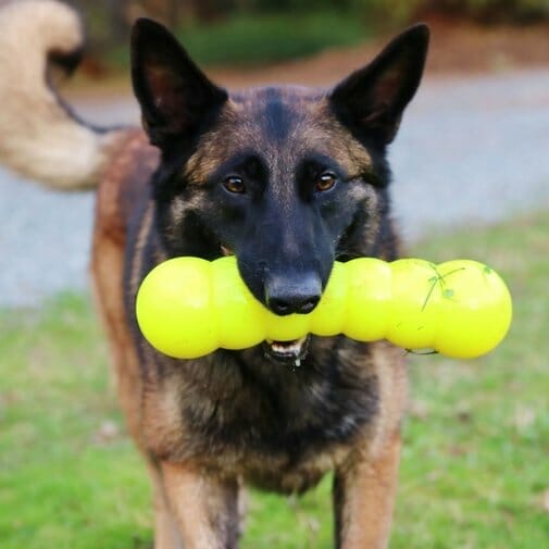 Ruff Dawg – Dawg Buster – Garantie à vie