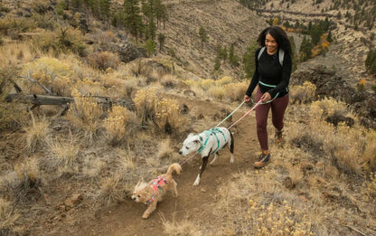 Ruffwear – Harnais Flagline