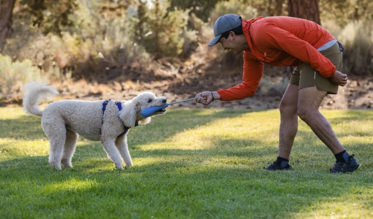 Ruffwear – Jouet Interactif à lancer – Gourdo