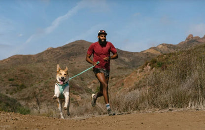 Ruffwear – Harnais Hi & Light
