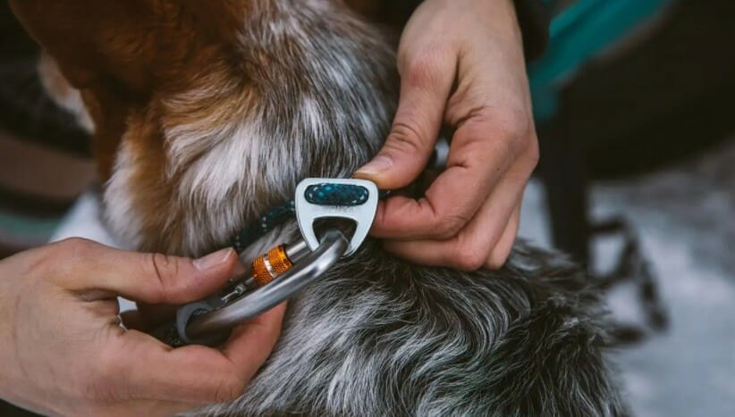 Ruffwear – Collier Knot-a-Collar