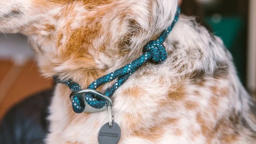 Ruffwear – Collier Knot-a-Collar