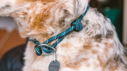 Ruffwear – Collier Knot-a-Collar