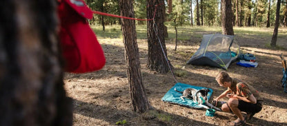 Ruffwear – Knot-a-Hitch – Système d'attache pour chiens de camping