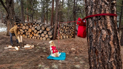 Ruffwear – Knot-a-Hitch – Système d'attache pour chiens de camping