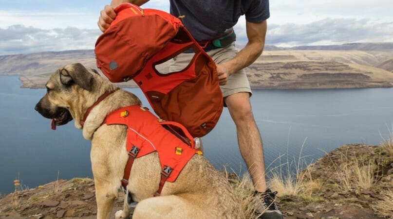 Ruffwear – Sac à Dos Palisades