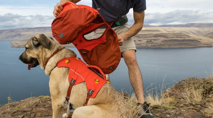 Ruffwear – Sac à Dos Palisades