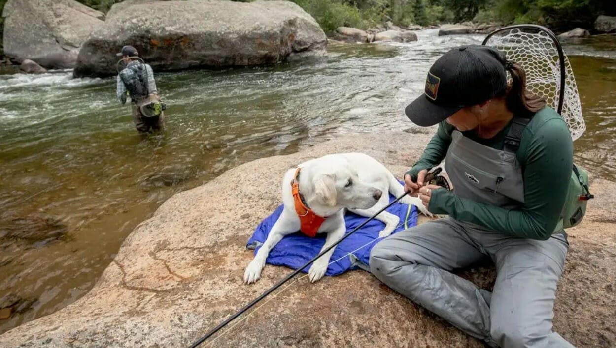 Ruffwear – Sac de couchage Highlands