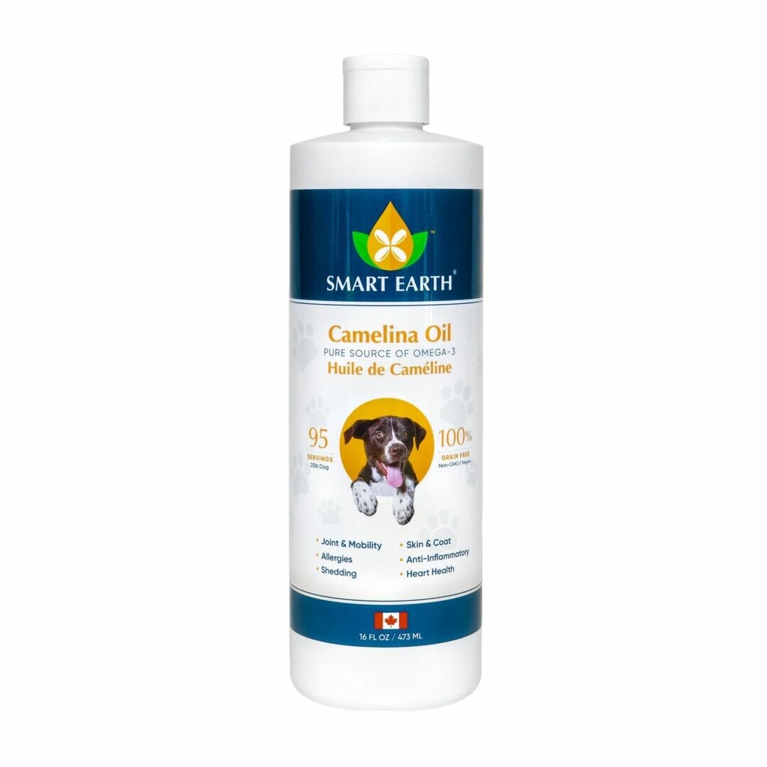 Smart Earth – Huile de cameline – antioxydante et anti-inflammatoire