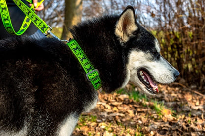 Manmat – Collier Standard