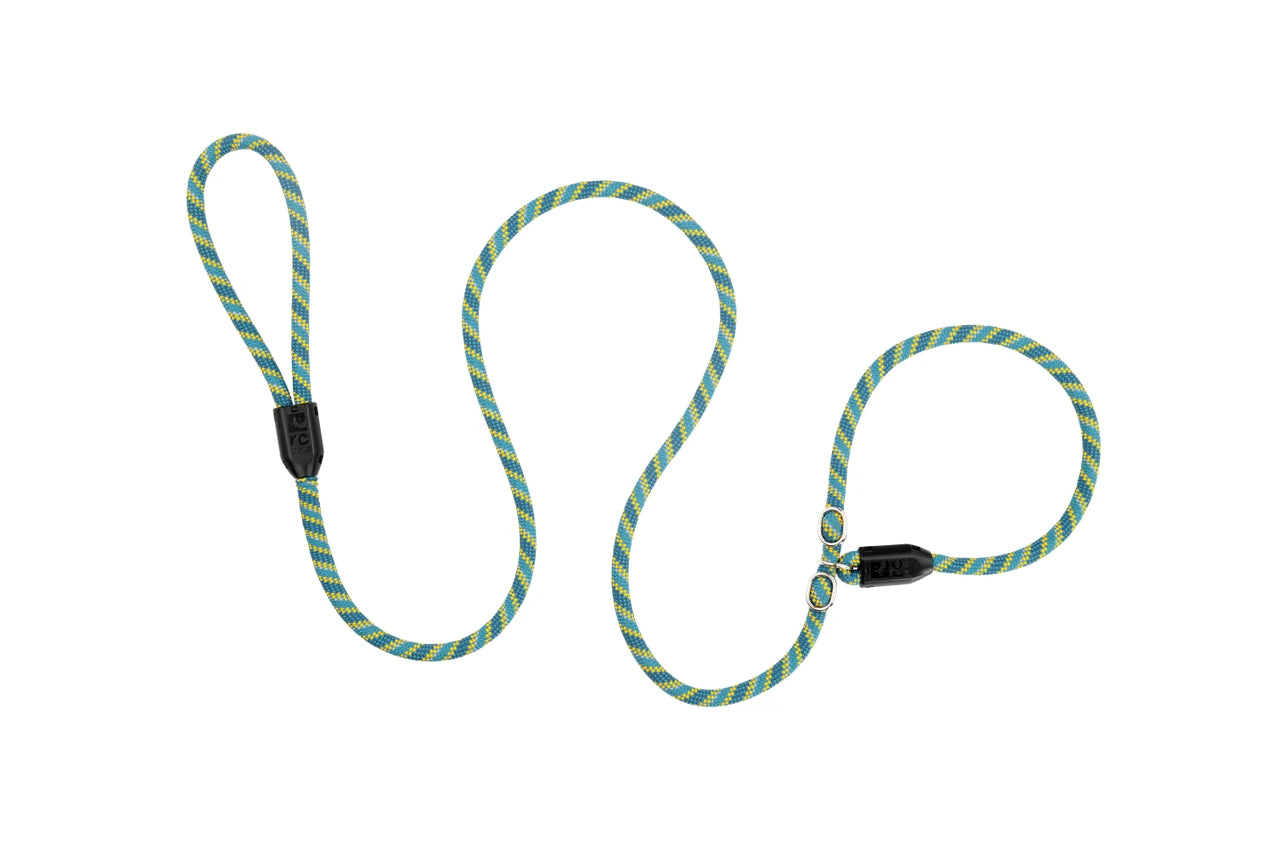 Rcpets – Laisse lasso en corde