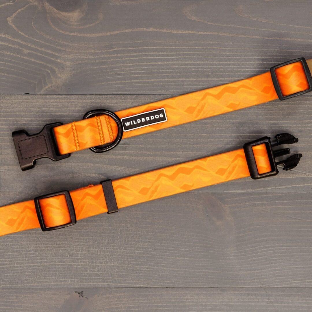 Wilderdog – Collier imperméable
