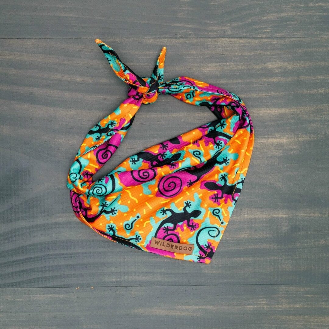 Wilderdog – Foulard rafraîchissant