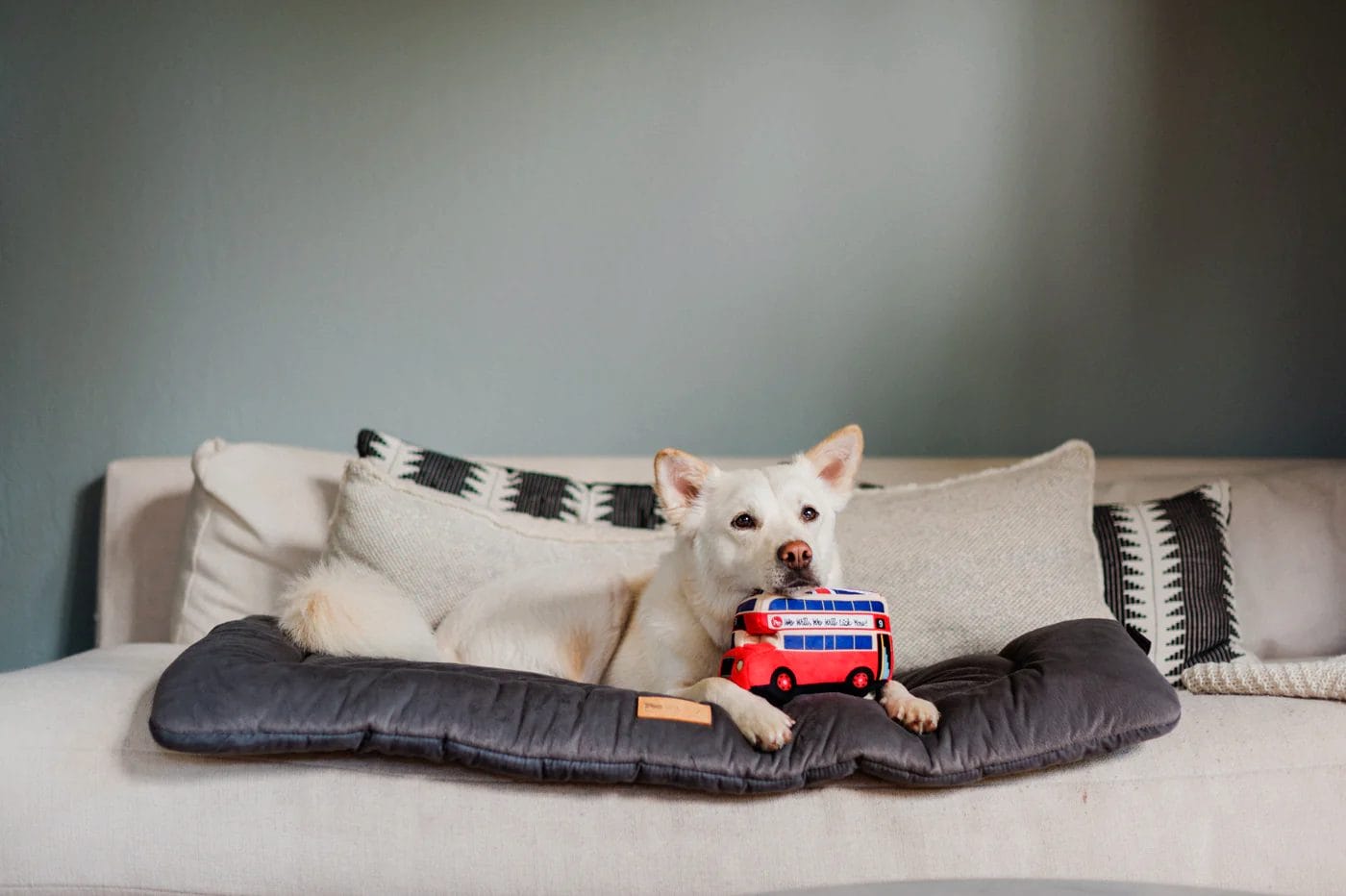 P.L.A.Y. – Collection trajet canin- Peluche bus de Londres