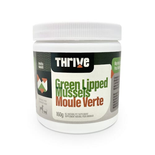 Thrive – Moule Verte