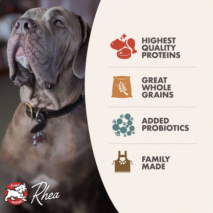 Fromm – Classic - Chien Adulte Grande Race