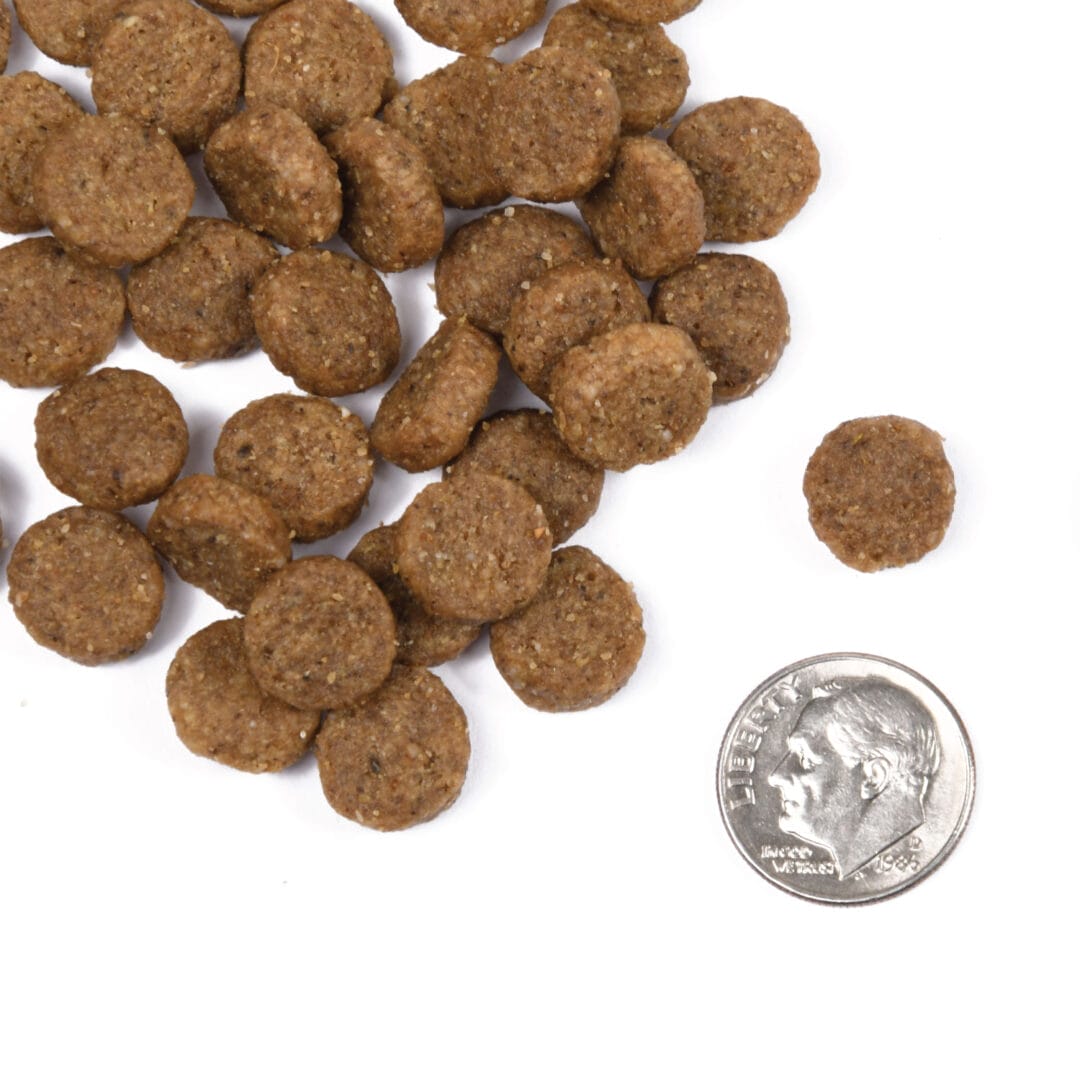 Fromm – Classic - Chien Adulte Poisson Blanc