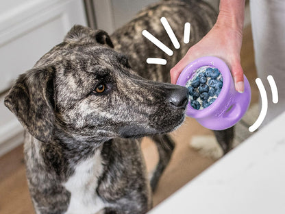 West Paw – TOPPL – Distributeur à gâteries