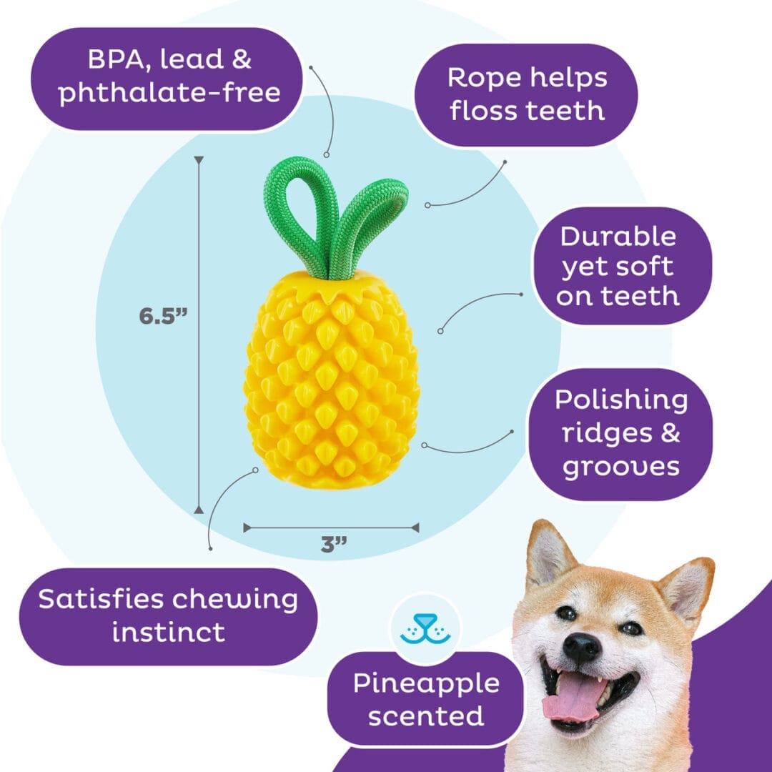 Outward Hound – Ananas dentaire
