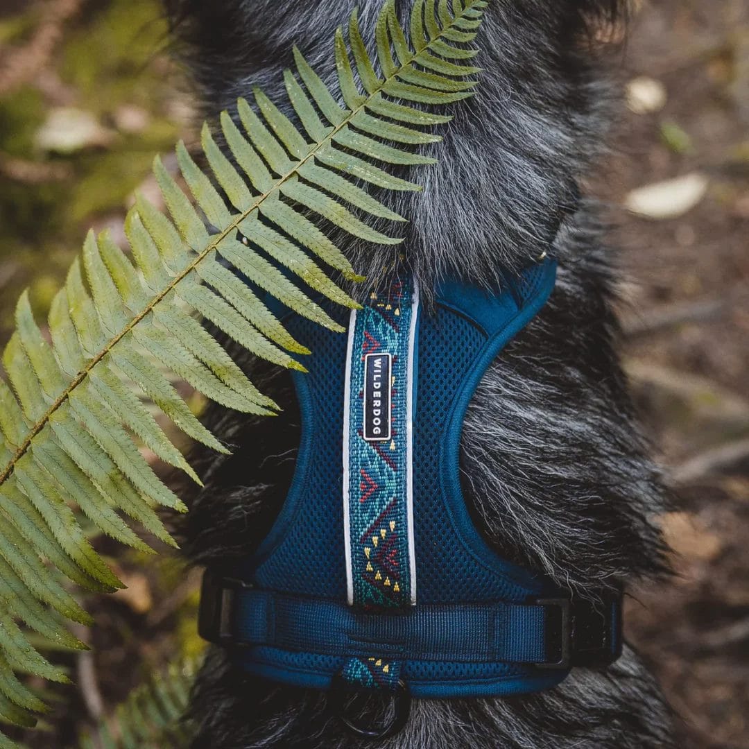 Wilderdog – Harnais