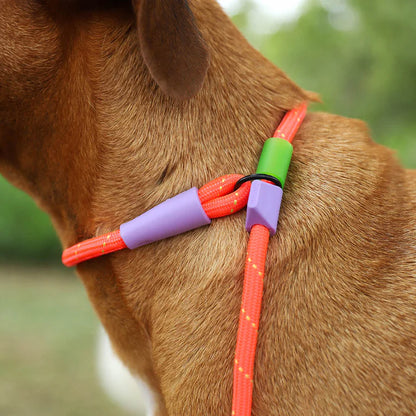 Zeedog – Laisse Slip-N-Lock