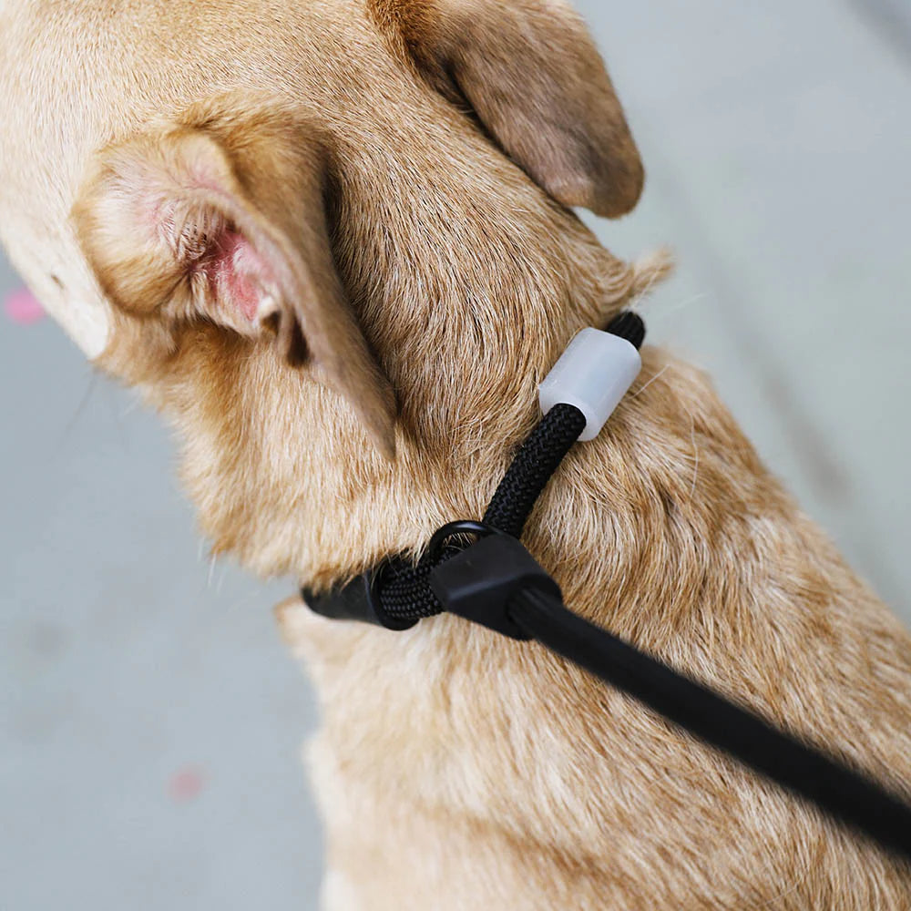 Zeedog – Laisse Slip-N-Lock