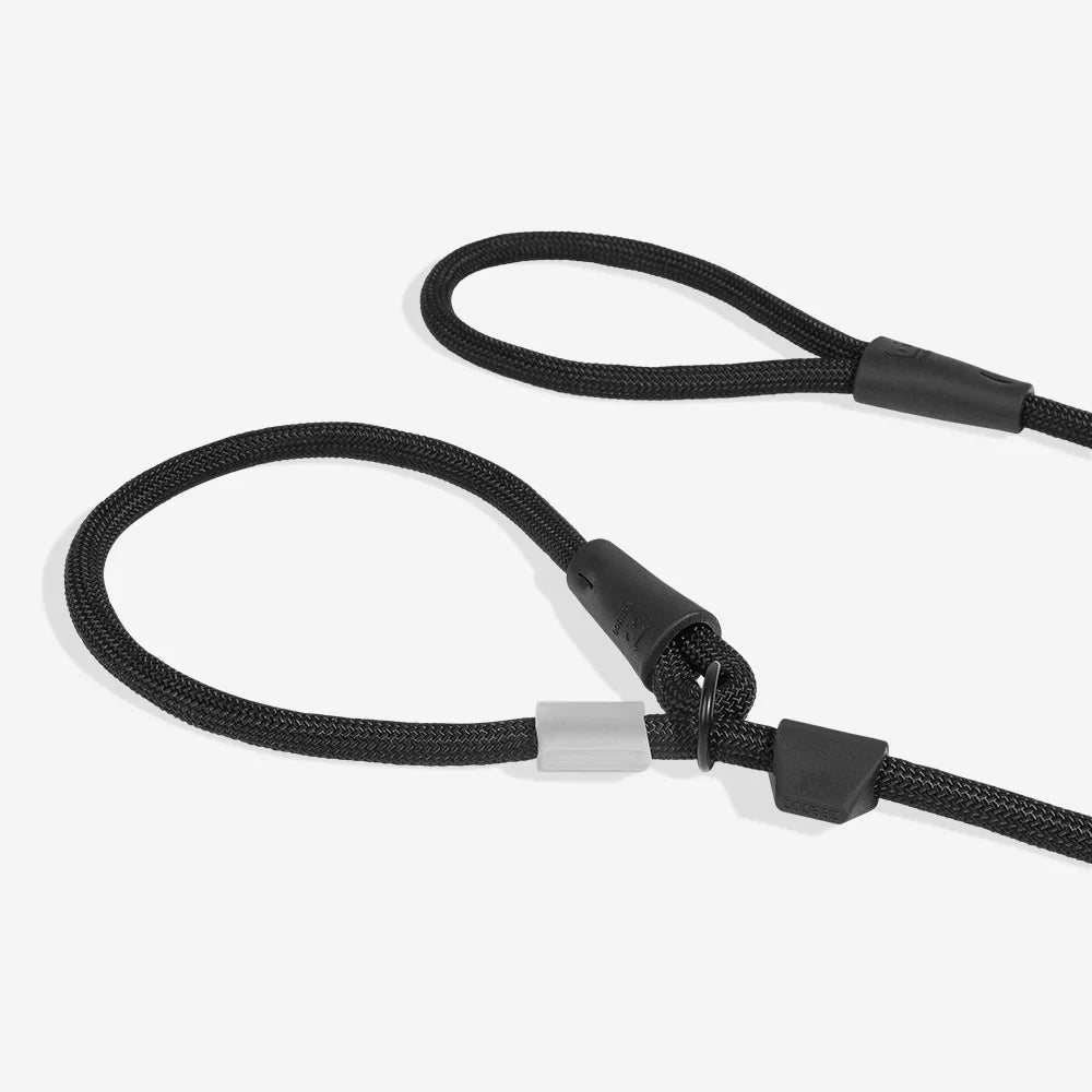 Zeedog – Laisse Slip-N-Lock